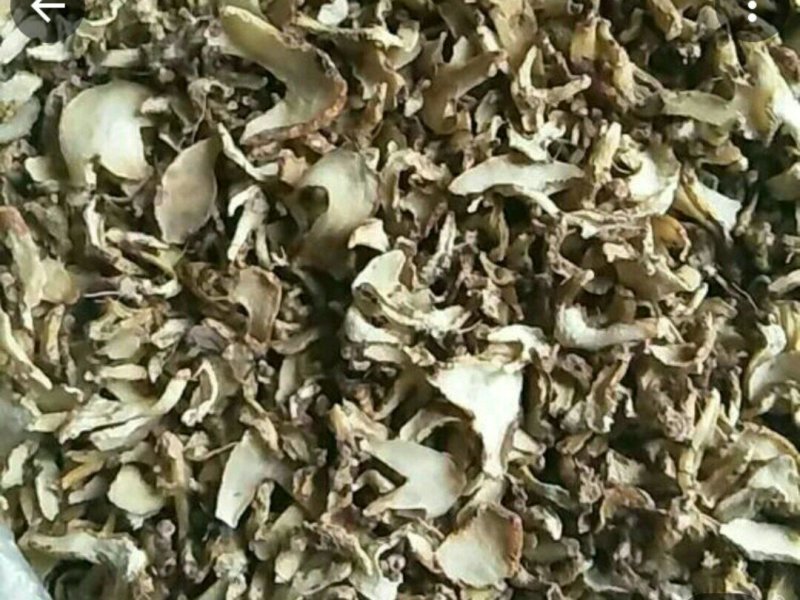 白芨干货质量好野生白芨
