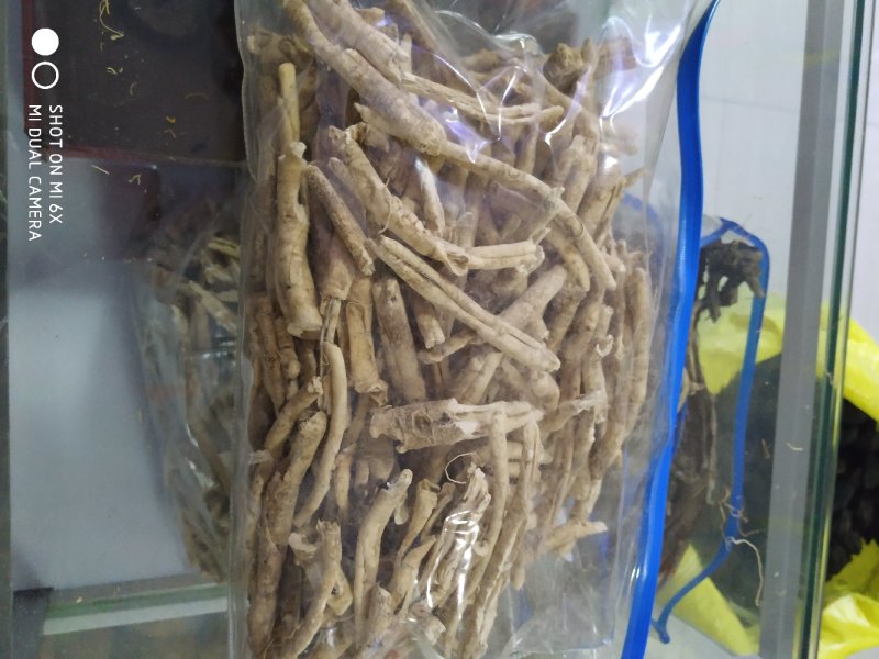 野生白鲜皮，