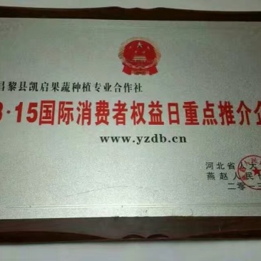 优质有机无公害韭菜无农药残留