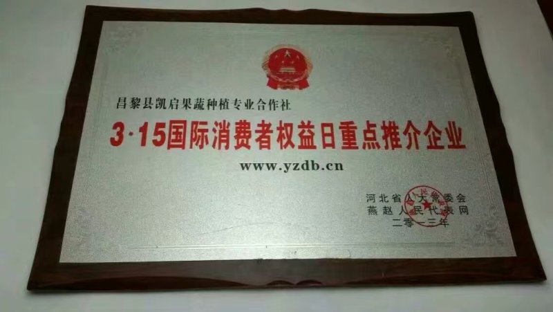 优质有机无公害韭菜无农药残留