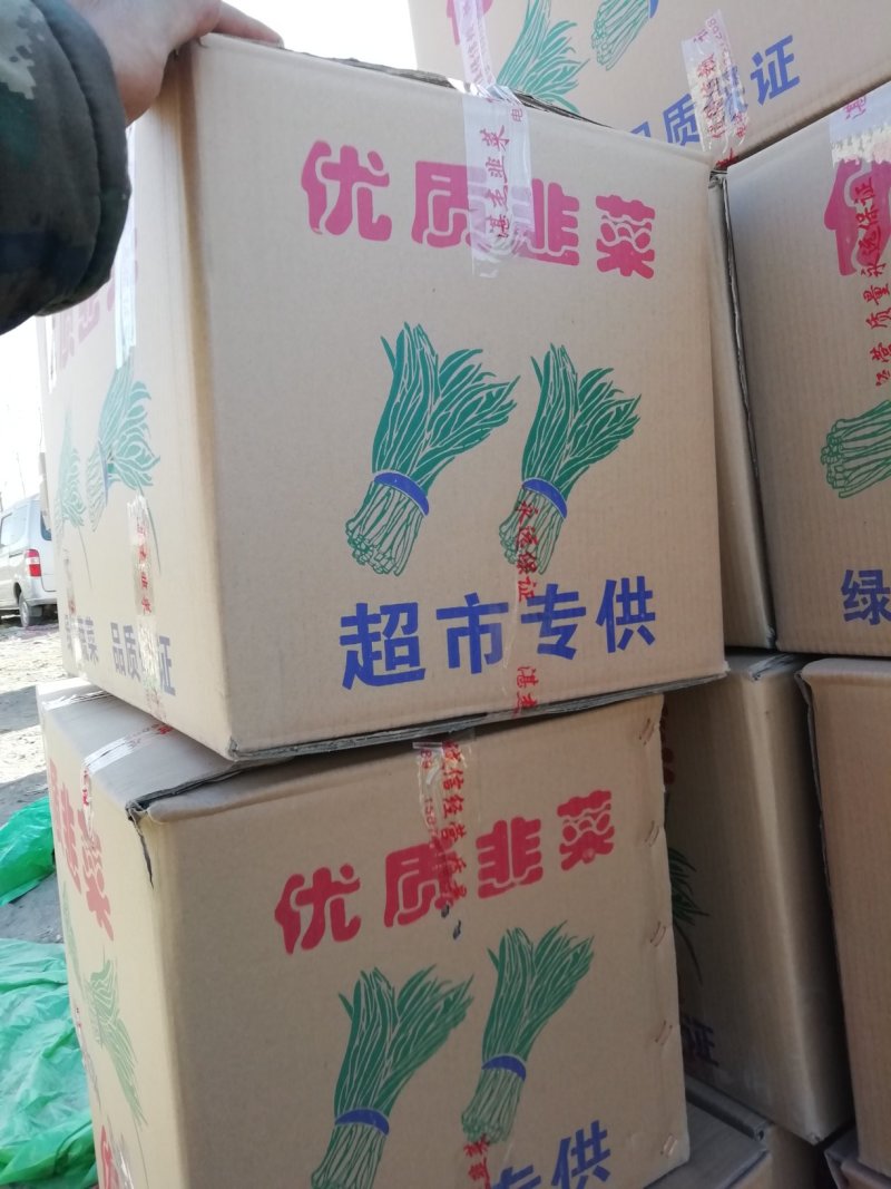 优质有机无公害韭菜无农药残留