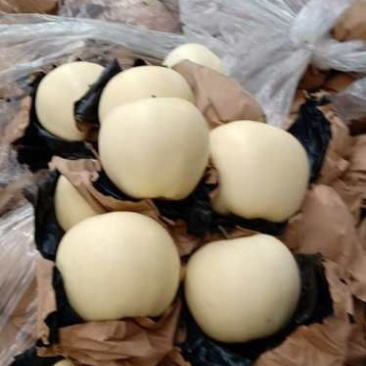 价格优惠，***********大量黄元帅