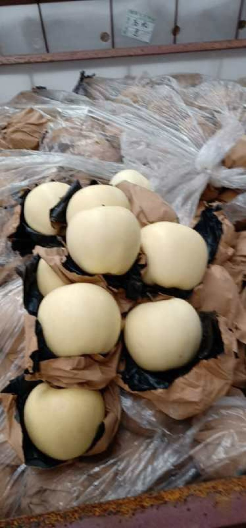 价格优惠，***********大量黄元帅