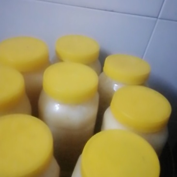 出售土蜂蜜