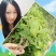 葛根种苗（正宗无渣粉葛苗，免费提供优质贴心的育苗种植技）