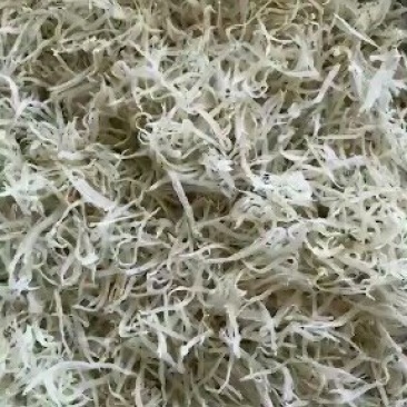 银鱼干