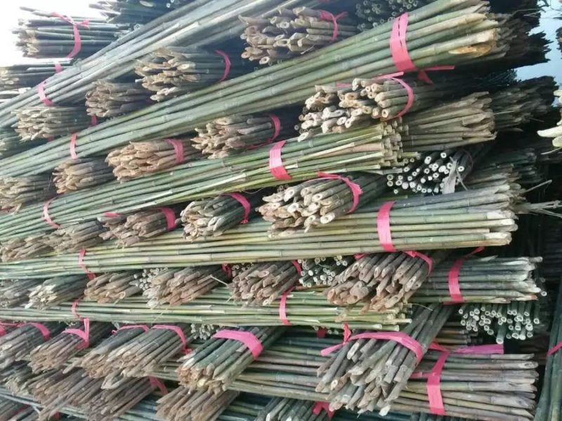 精品竹子，竹竿，菜架竹，豆角架，西红柿架，冬瓜架批发供应