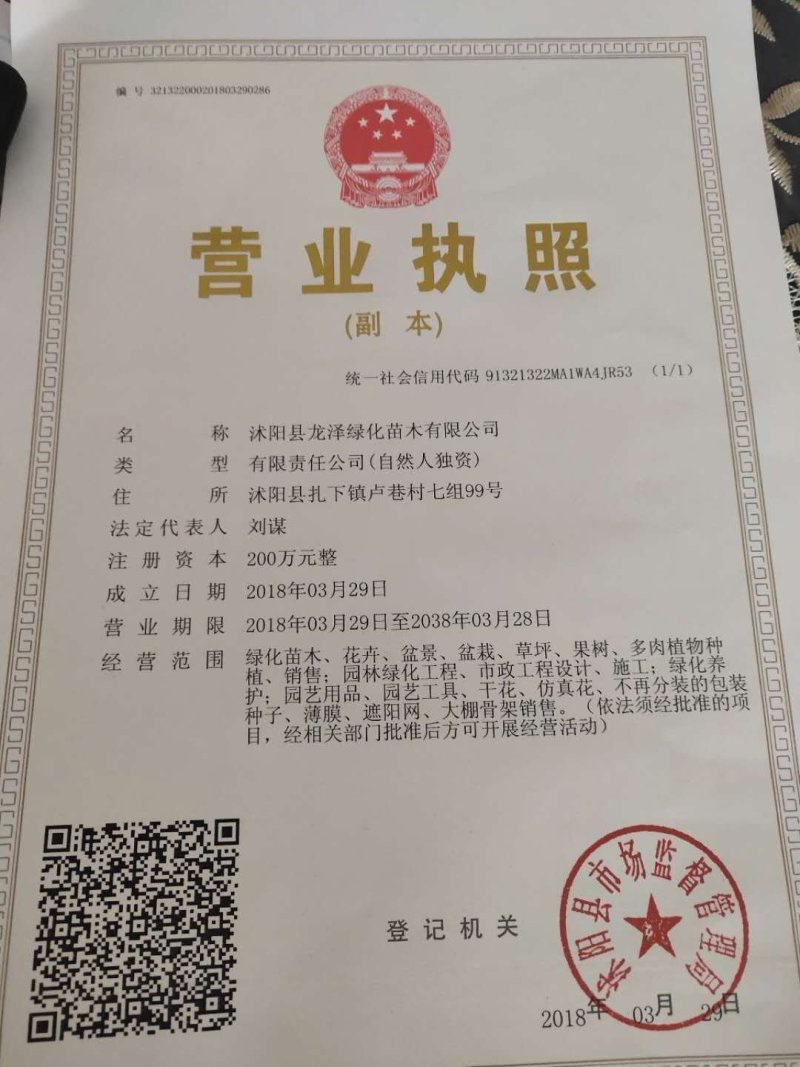 木槿花苗可视频看货选货一亩田线上交易下单购买