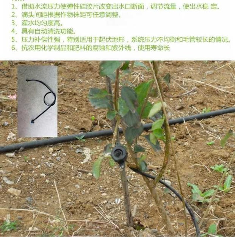 农用可调大小滴头果树滴灌八孔红色蓝色黑色毛管滴灌喷头