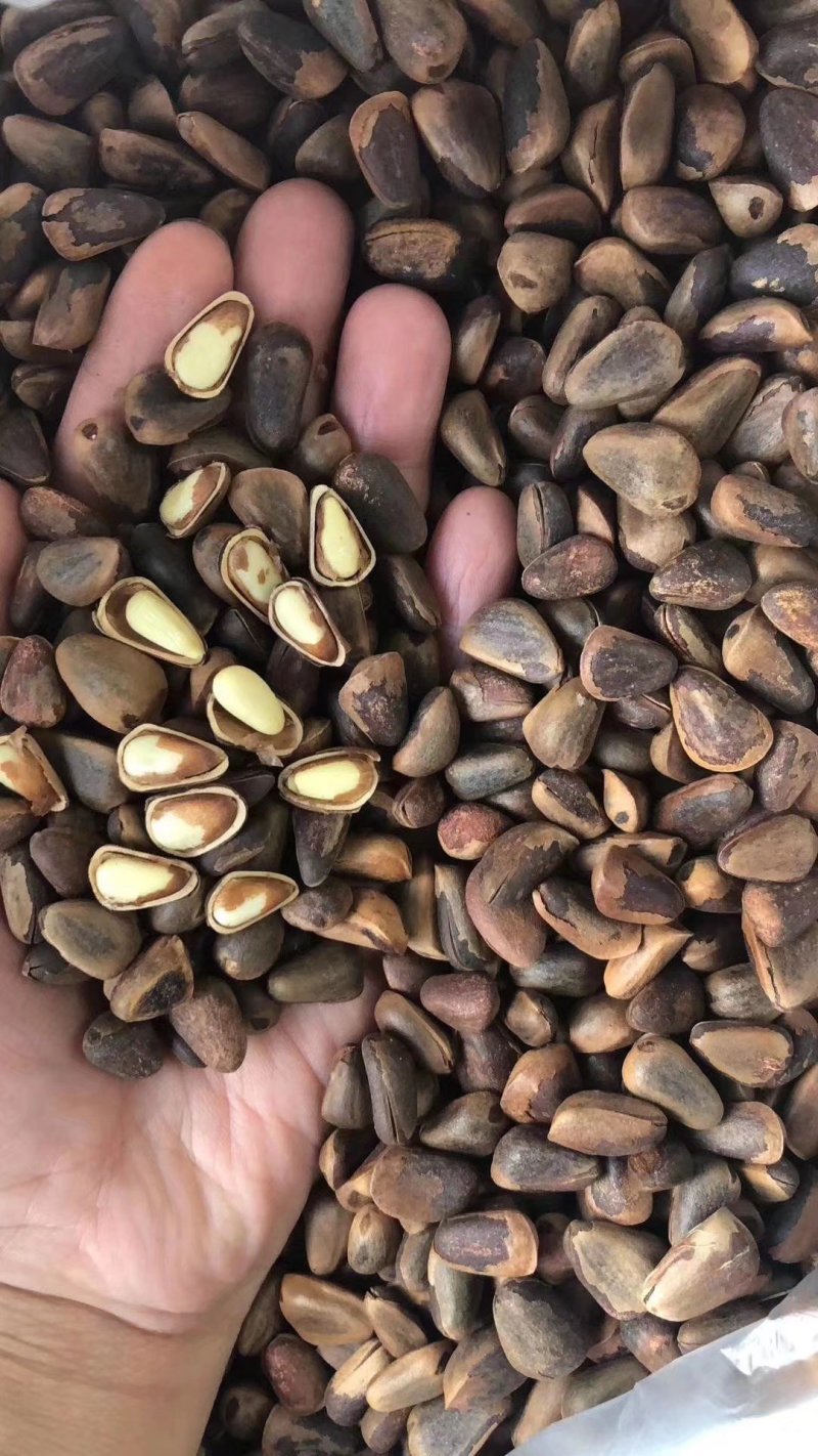坚果干果