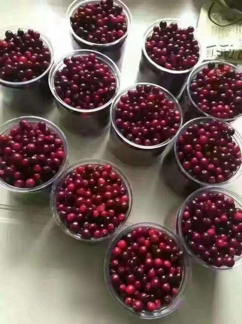 浆果类