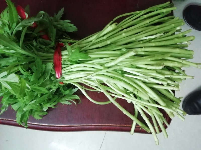 芦篙毛蒿