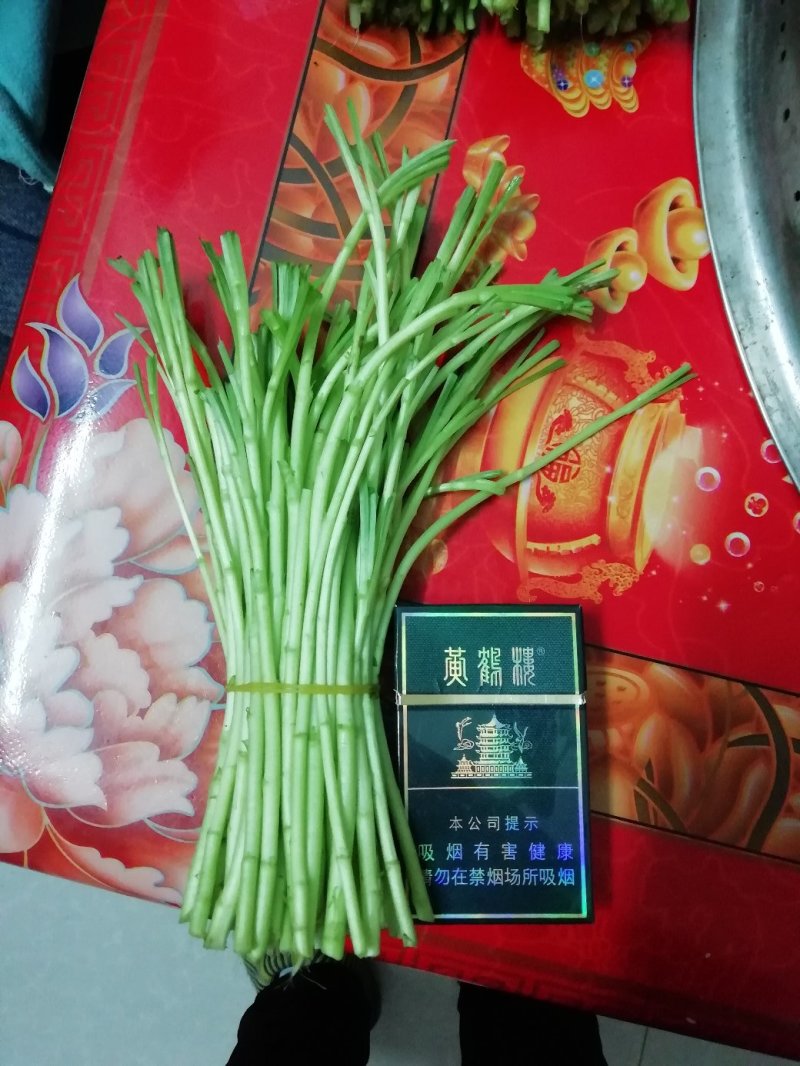 芦篙毛蒿