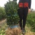 由良柑橘苗蜜橘苗蜜桔苗台州黄岩农户自产自销