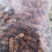 大黑蜂(特大）