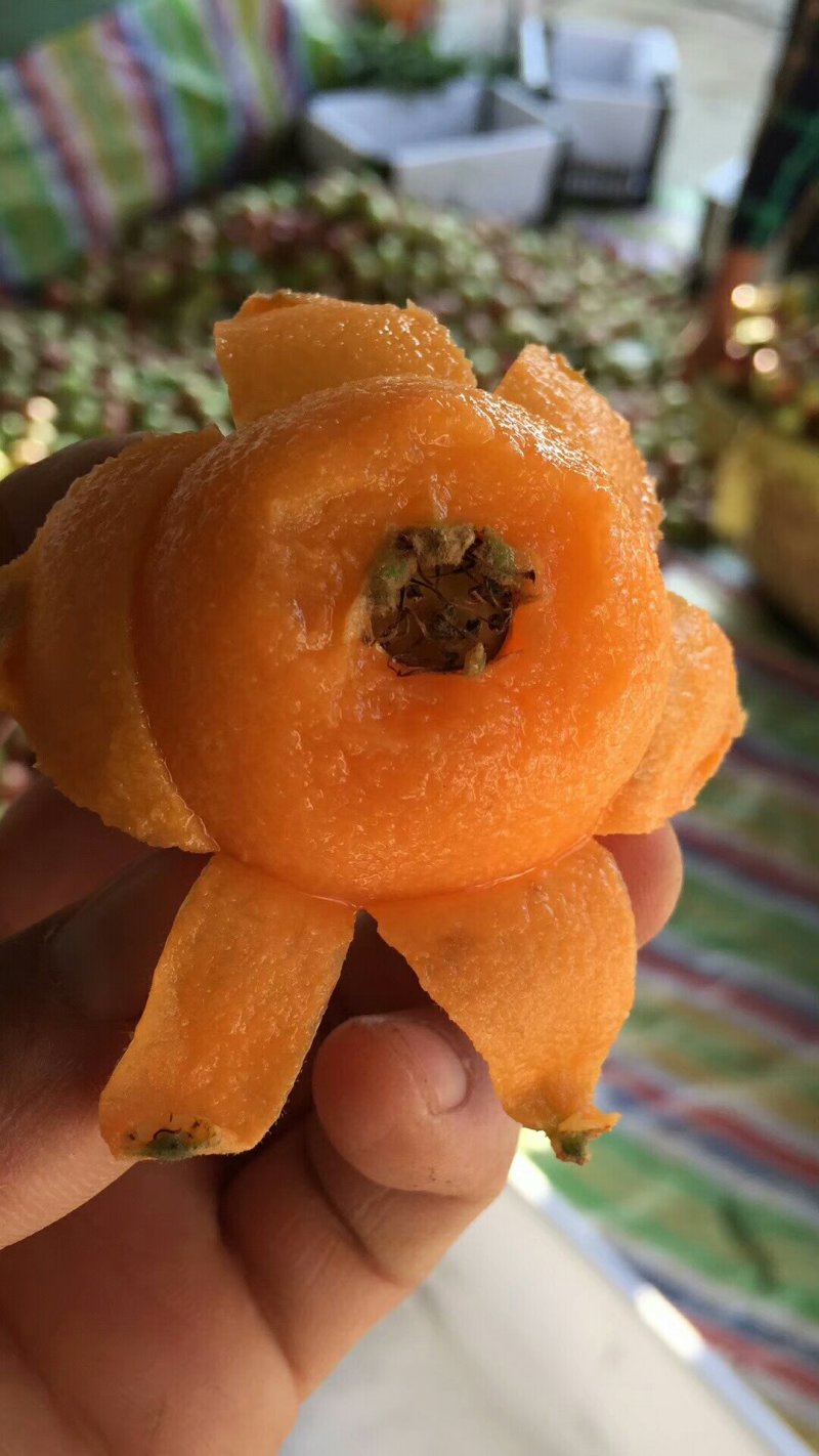 枇杷