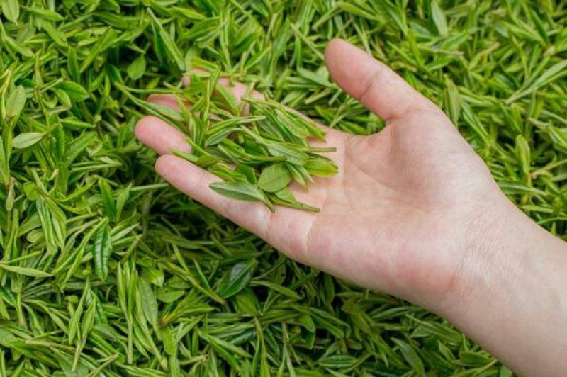 普洱茶