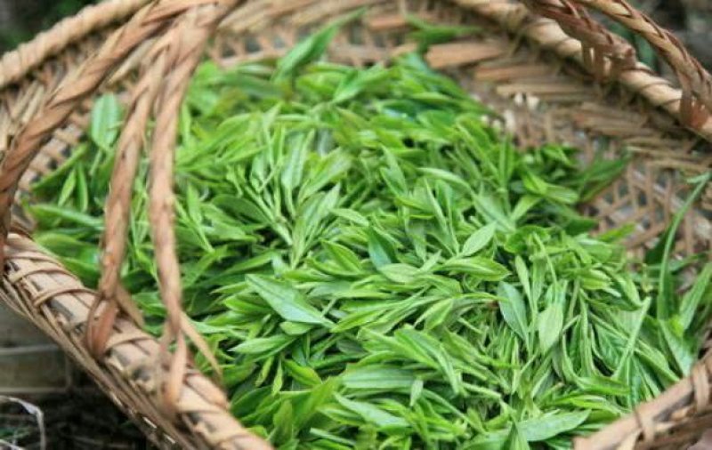 普洱茶