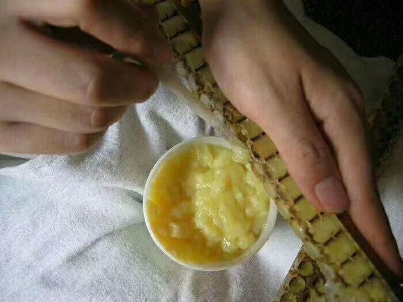 蜂王