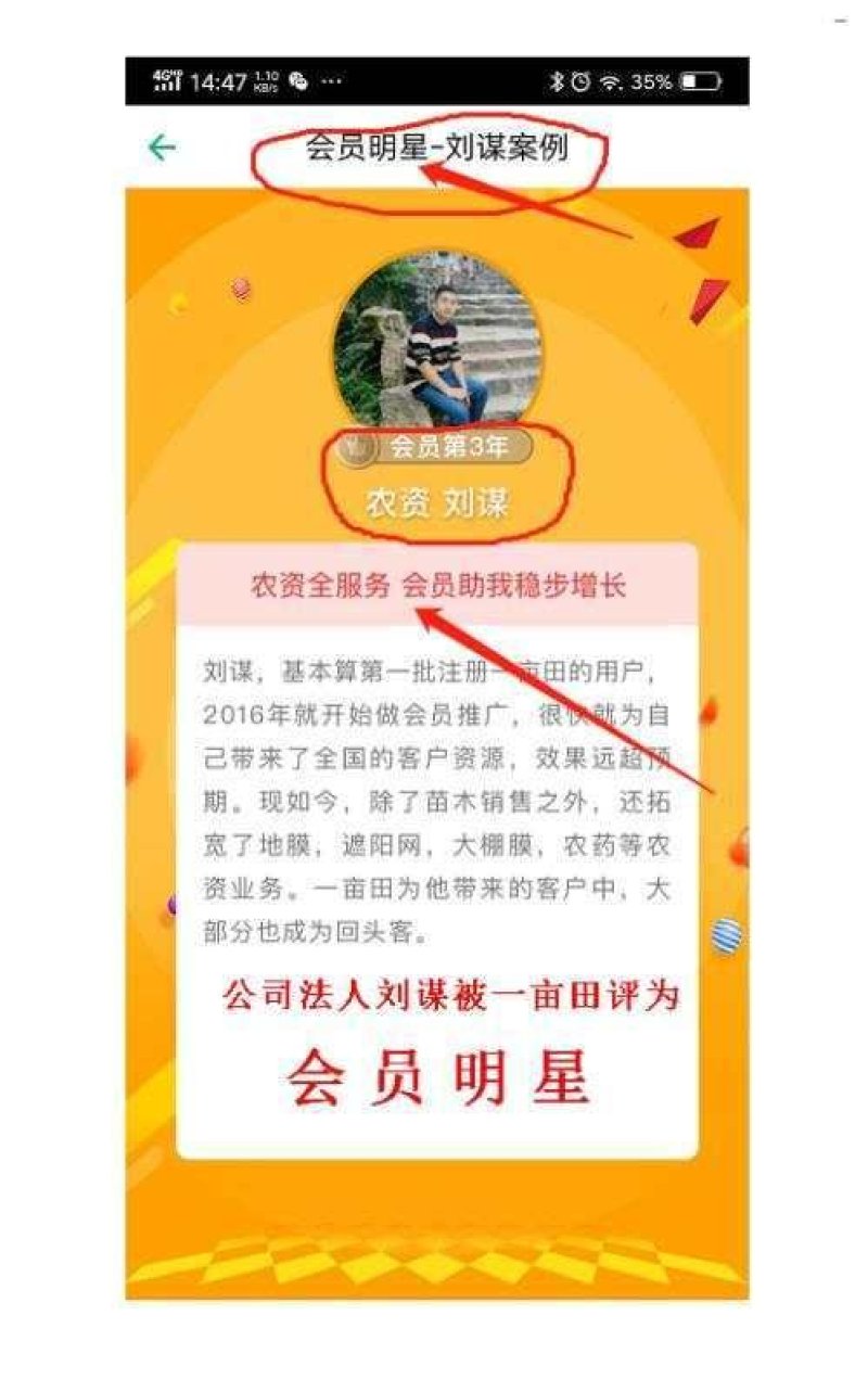 侧柏苗又叫扁柏苗可以嫁接龙柏用可视频看货选货