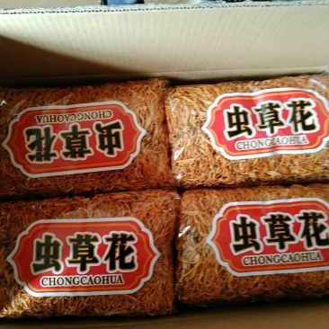 【带贴散草】【李大人村】产地批发东北土特产，虫草花干货