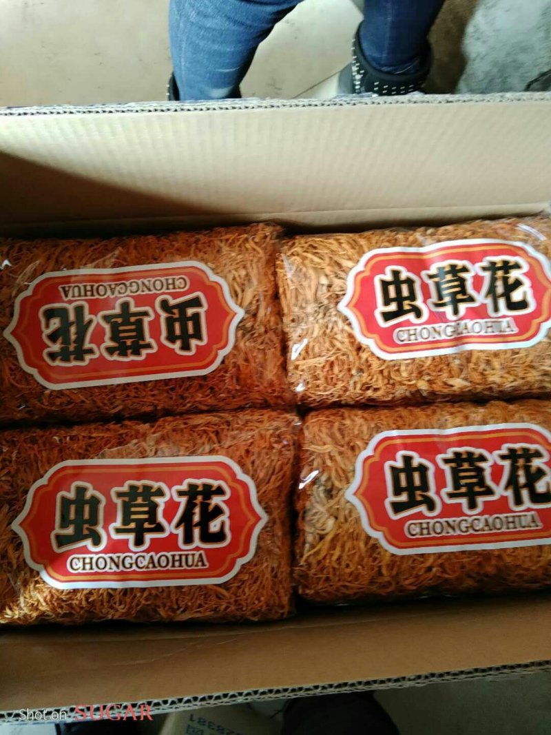 【带贴散草】【李大人村】产地批发东北土特产，虫草花干货
