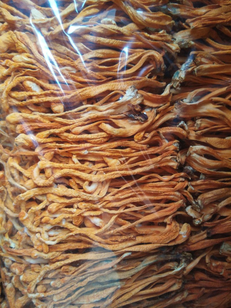【带贴散草】【李大人村】产地批发东北土特产，虫草花干货