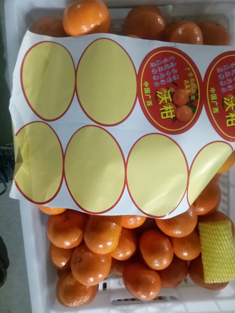 【精品】沃柑广西产地直供对接各级客商、电商服务完善