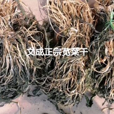 售干货刀豆，苋菜，梅菜，笋，田菜，四季豆，长豆，苦株豆腐