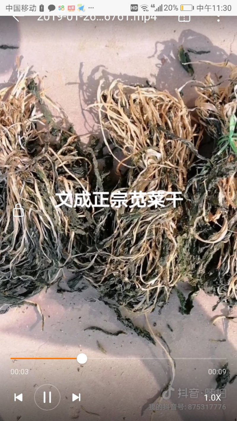 售干货刀豆，苋菜，梅菜，笋，田菜，四季豆，长豆，苦株豆腐