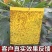 （买百送十）双面黄板果园专用蓝板贴蓟马白粉虱诱虫板粘飞虫