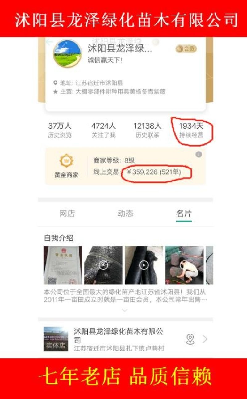 有刺蔷薇苗高度30-50公分包邮1.5元一颗线上交易下单