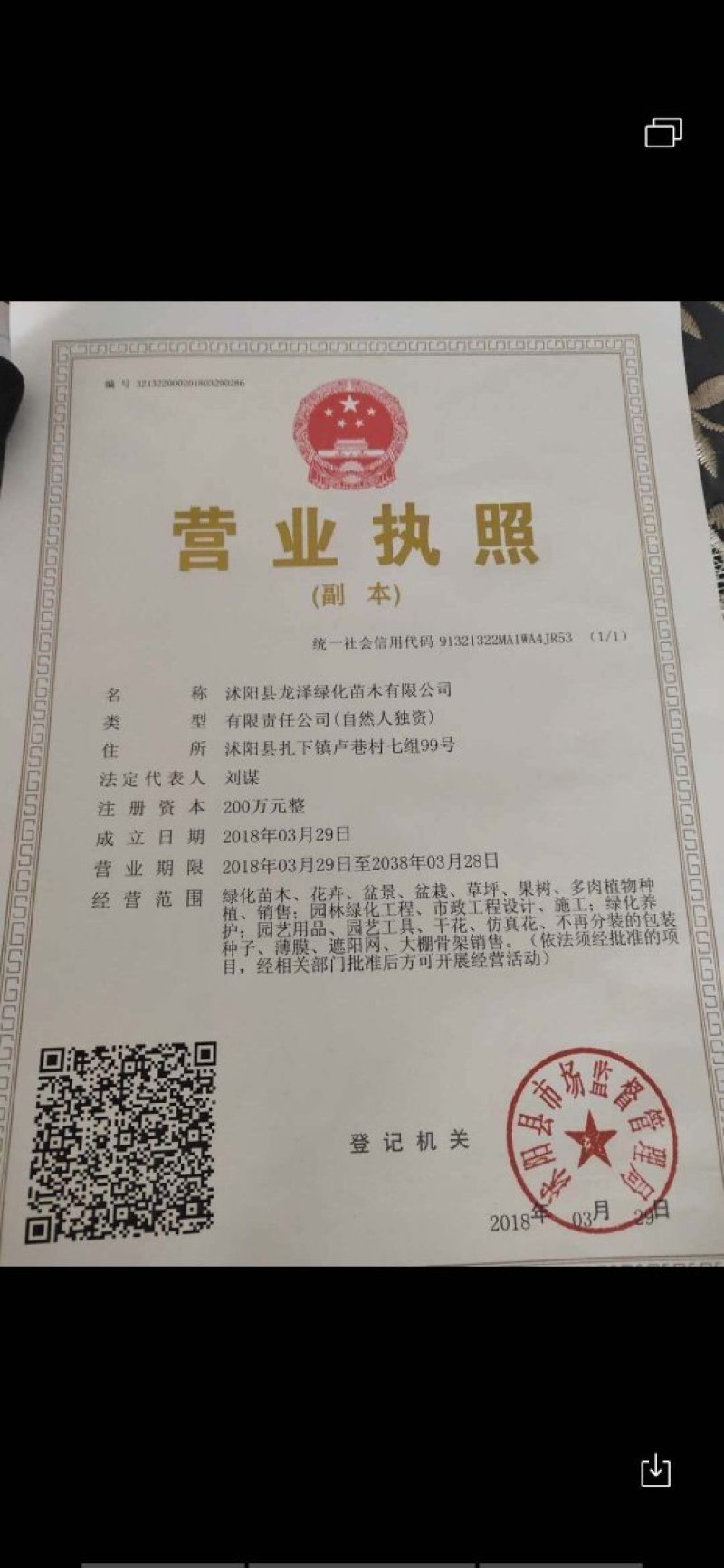 蔷薇花蔷薇花苗蔷薇花小苗蔷薇花树苗视频看货