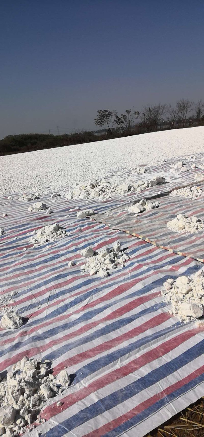 红薯淀粉袋装