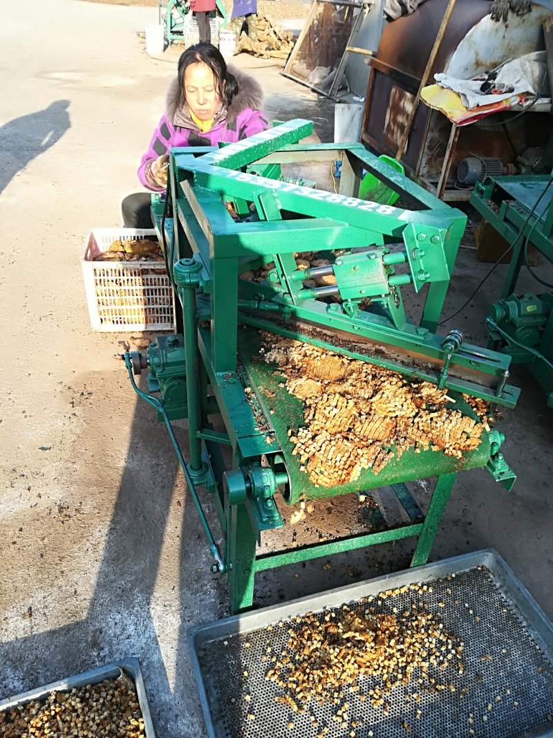 葛根丁，葛根片，0.7米丁，出售加工葛根丁设备