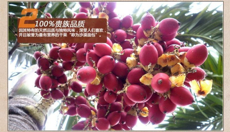 大量新疆椰枣，新货，树上面包，进口品种，好吃停不下来