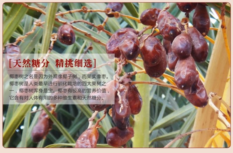 大量新疆椰枣，新货，树上面包，进口品种，好吃停不下来