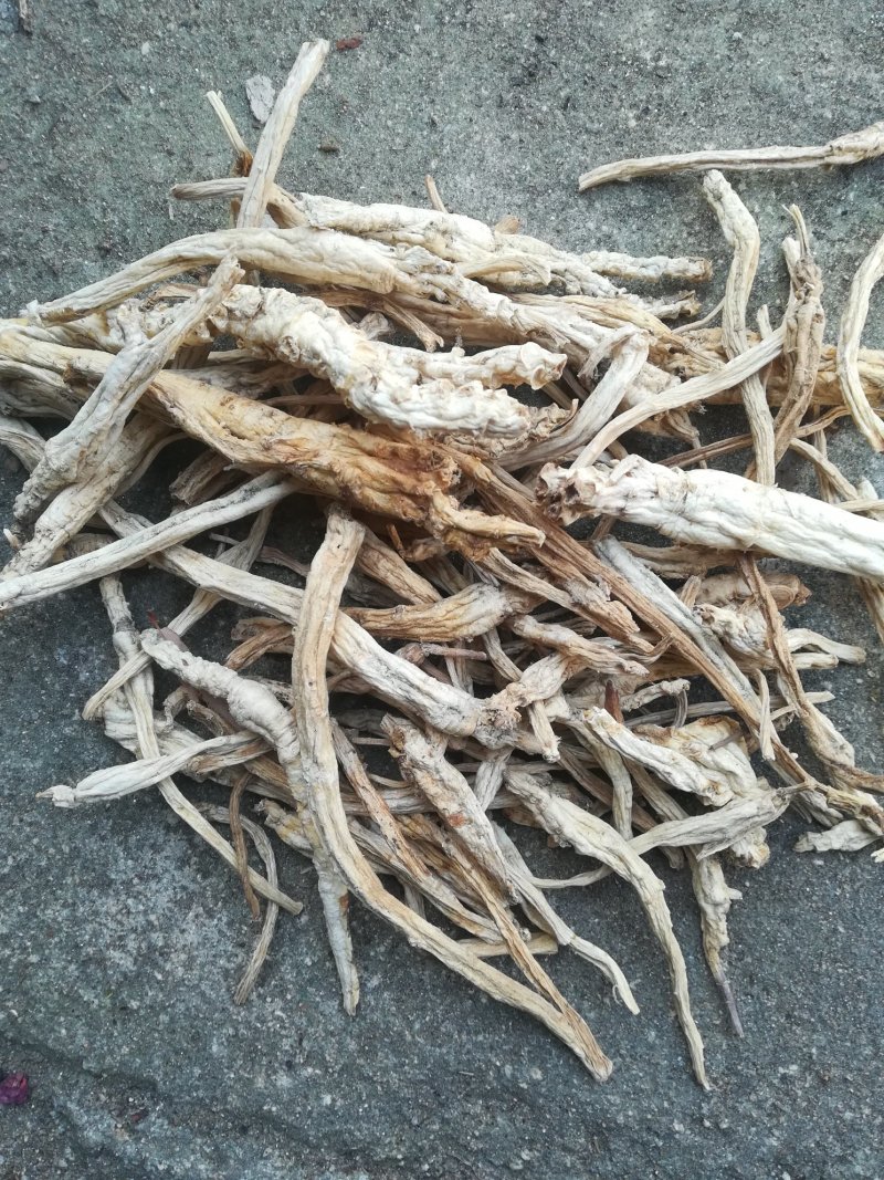 野生桔梗，广水地产野生桔梗，大量现货批发