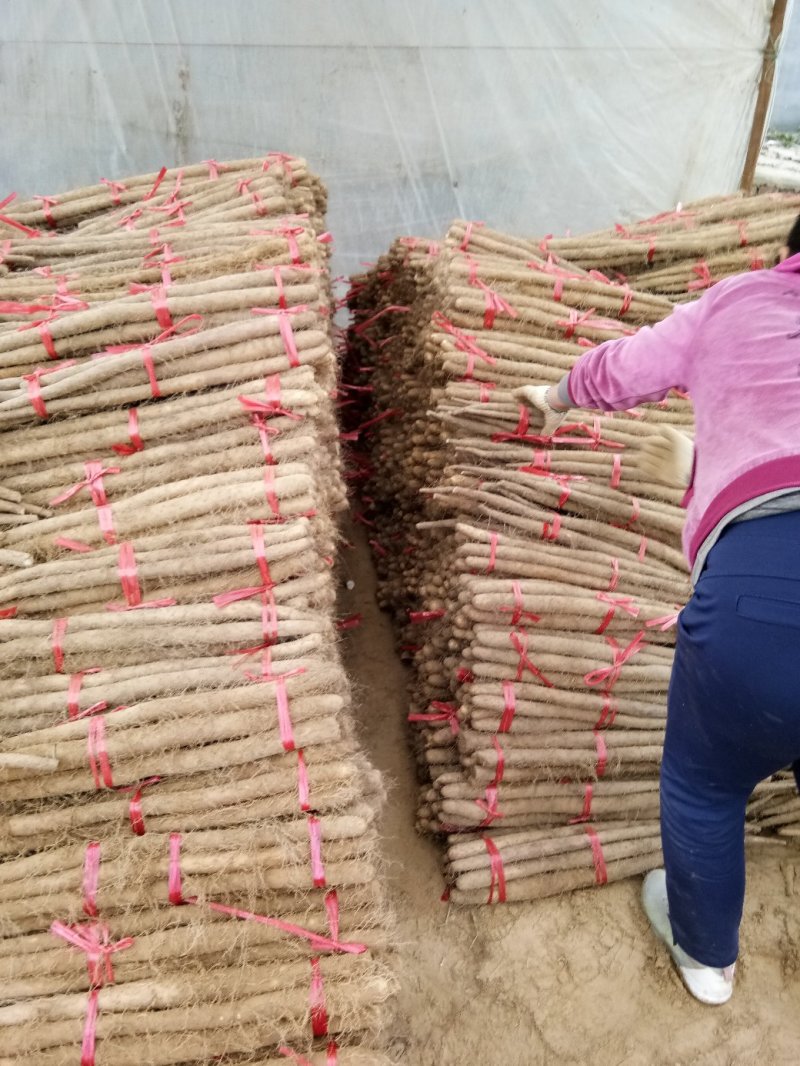 白玉山药3~4厘米一级通货40～70厘米