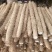 白玉山药3~4厘米一级通货40～70厘米