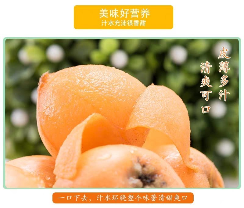 《产地源头好货》福建云霄枇杷五斤装产地一手货源