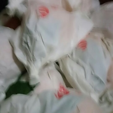 粑粑柑70起步保证质量