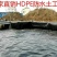 全黑色膜鱼池漏水膜土工膜防水防渗膜全新料抗老化