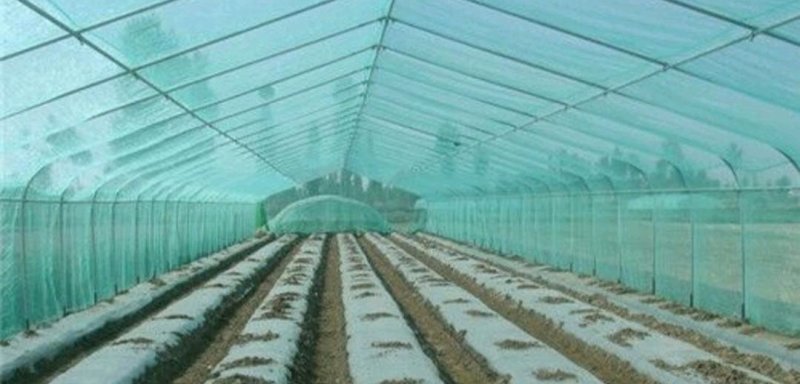 厂家直销大棚膜全新无滴po膜防雾蔬菜益生菌抗老化大棚膜