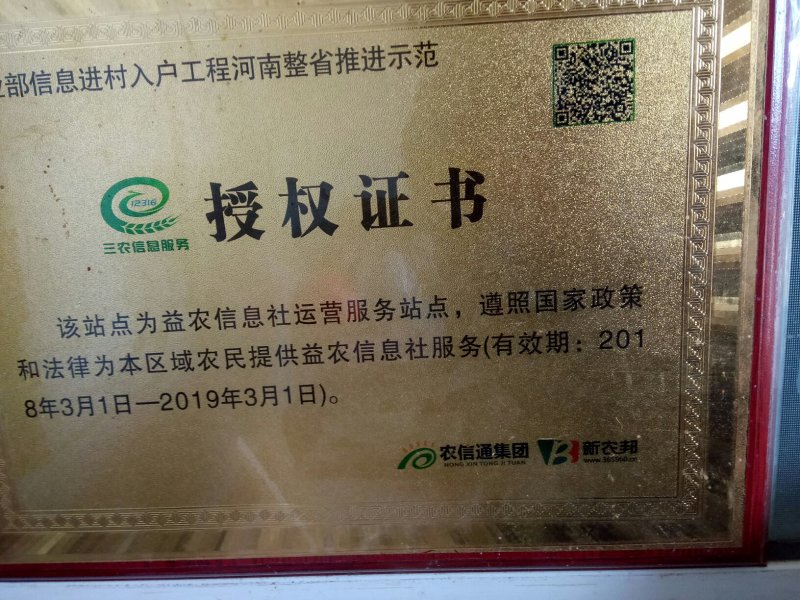 夏邑蔬菜之乡益农合作社精品密刺黄瓜保质保量货源充足