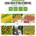 播种器2020新款多功能手推式玉米棉花大豆花生精播机小麦