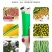 点播器播种器供应优质手提式播种器玉米播种器花生大豆