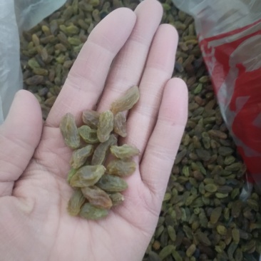 葡萄干