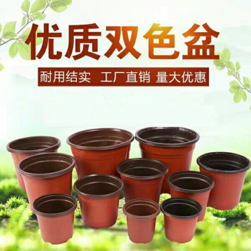 双色花盆，花盆摔不坏的花盆，低价格。
