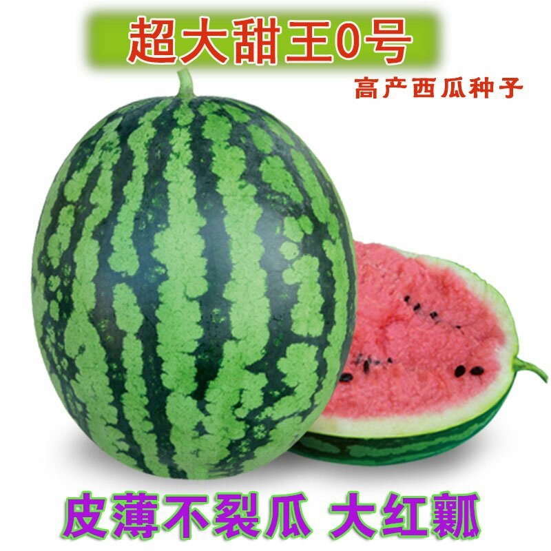 超大甜王0号西瓜种子采用菲律宾原种基因皮薄不裂瓜高糖度
